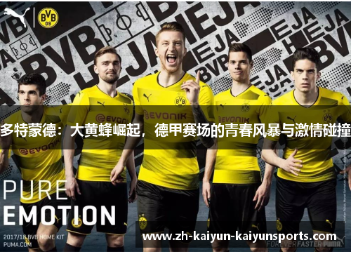 多特蒙德：大黄蜂崛起，德甲赛场的青春风暴与激情碰撞